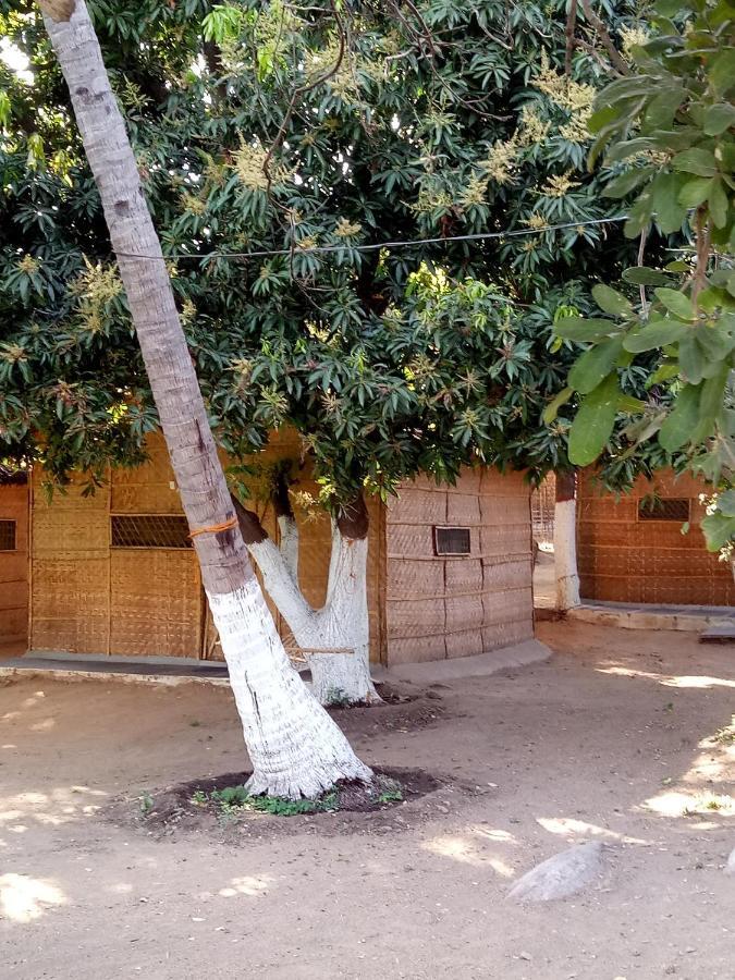 Sunrise Guest House & Restaurant Hampi Exterior photo